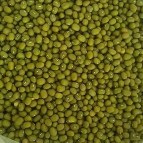 High Quality Green Mung Beans, Bulk Wholesale, Cheap and Affordable - Image 5