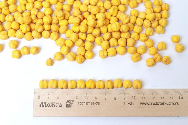 Roasted Chickpeas - Image 3