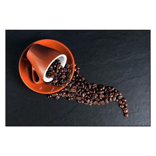 OEM Bulk Export of AA Grade Green Arabica Coffee Beans Low Priced Indian Exporter for Energy Boosting - Image 5