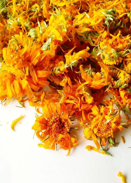 calendula flower - Image 1