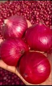 Red Yellow Onion Wholesale Yellow Onions Cebolla Oignon Color Red, Yellow Shape Round, Oval Shelf Life 2 years Form Fres - Image 3