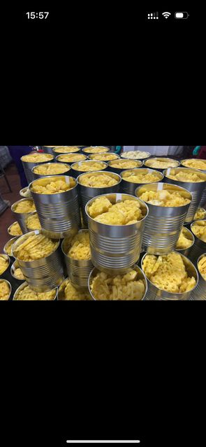 Fresh High Quality Canned pineapple in light syrup Closure Type Tear-Off Lids Packaging Properties Printable, Single-Use Packaging - Image 1