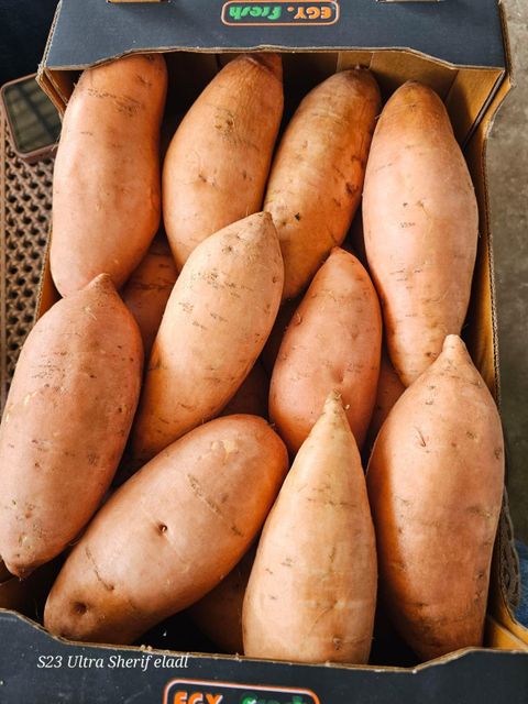 sweet potato – product photo 4, product detail gallery