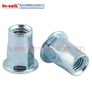 Steel Flat Head Semi Hex Body Rivet Nut OEM Welcome Trademark In-sail HS Code 7318160000 Origin Shenzhen, China Performance Eco-Friendly - Image 1