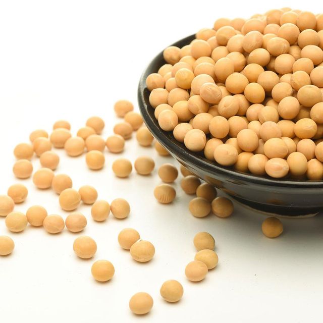 Early Maturing Soybean Seed Fast Growing Soybean Seed Ideal For Multiple Harvests And Efficient Field Management - Image 1
