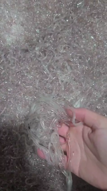 European glass eels EU certified 1-ton available November -January - Image 2
