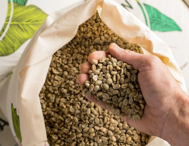 Green Coffee Beans High Quality Raw Beans For Roasters Buy Fast Delivery Best Quality Robusta Green Coffee Beans Raw Coffee Beans Arabica Green Coffee Beans - Image 4