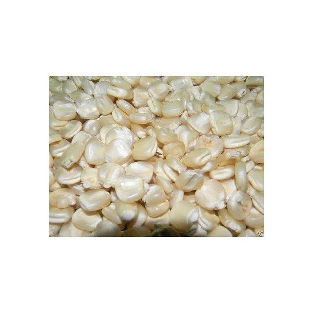 Top-quality white maize for sale ideal for animal feed and food industry - Image 3