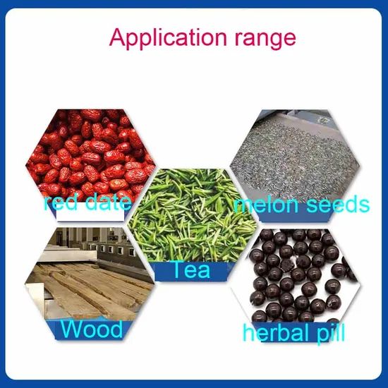 Fruit Vegetable Processing Machine Tunnel Drying Oven Vegetable Dryer Drying Machine - Image 6