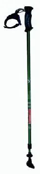 Ski Poles (LY-101) Trademark BEST Model NO. LY-101 Production Capacity: 300,000pcs/year - Image 1
