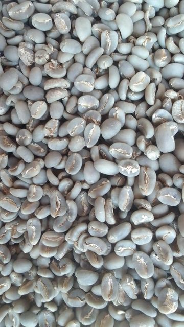 Premium Gayo Arabica Semi Washed – product photo 3, product detail gallery