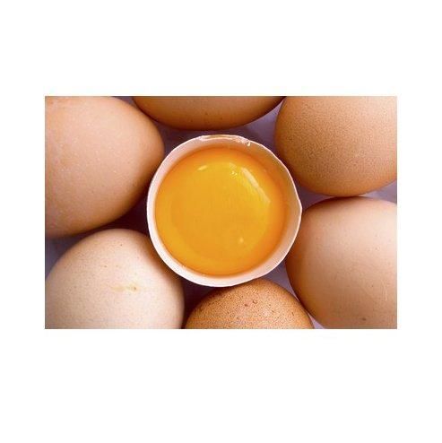 Freeze-Dried Pet Egg Yolk Whole Egg Yolk Freeze-Dried Raw Egg Yolk Cat and Dog Training Reward Snacks Factory Wholesale Freeze-Dried Pet Egg Yolk Whole Egg Yolk Freeze-Dried Raw Egg Yolk Cat and Dog Training Reward Snacks Factory Wholesale - Image 2
