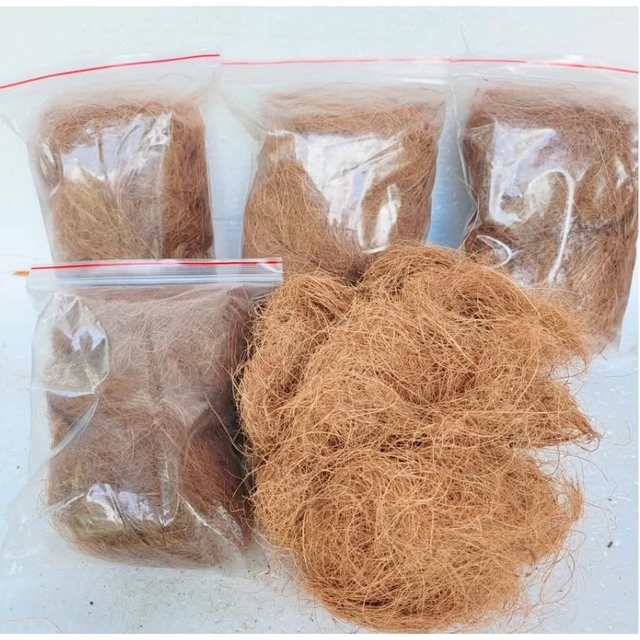 Raw Coconut Fiber - Eco-Friendly Material - Image 3