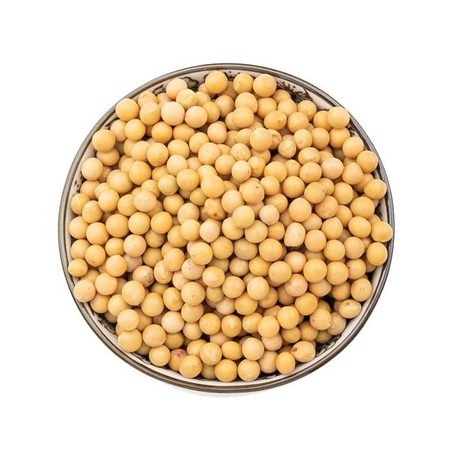 Natural Soybean Premium Soybean High Quality Bulk - Image 3