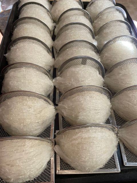 High Quality Natural Collagen swallow Bird's Nest Real Edible Round Bird Nest from Vietnam - Image 5