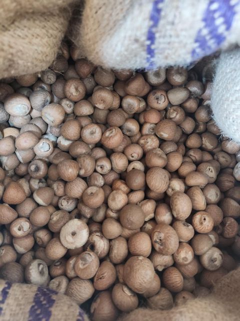 “Premium Betel Nuts (Areca Nuts) – High-Quality Whole & Split Nuts for Chewing & Traditional Use” - Image 2