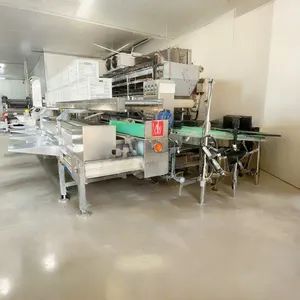 Pet Ham Sausage Processing Complete Assembly Line Pet Food Processing Equipment - Image 6