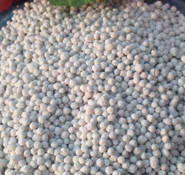 Wholesale Agricultural Fertilizers NPK Urea DAP Organic Compound Granular Water Soluble Plant Nutrition for Farm Use - Image 4