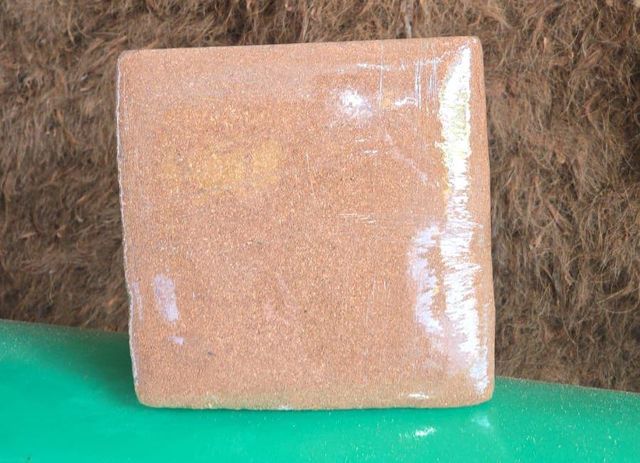 Coco Peat High EC & Low EC - Image 4