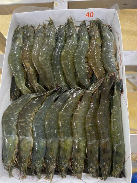 Frozen Hoso Shrimp Natural Ocean Harvest Seafood For Retail Packaging Export Distribution And Wholesale Buyers - Image 3