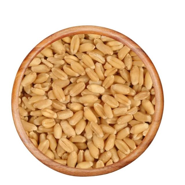 Premium Grade Milling Wheat for Efficient Flour Processing and Consistent Results in Industrial Milling - Image 3