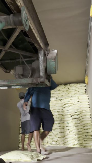 Vietnam DT8 Long Grain White Rice 5% Broken - Soft Texture Rice for Export – product photo 5, product detail gallery