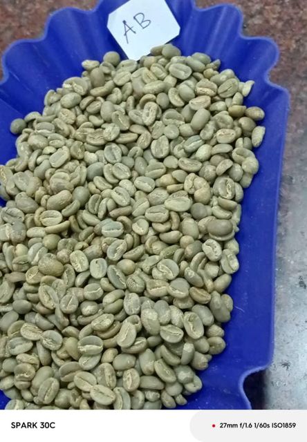 Coffee beans – product photo 3, product detail gallery