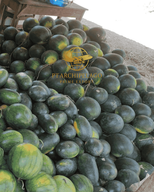 watermelon / Indonesian watermelon / tropical fruit Color Green Packaging by request - Image 2