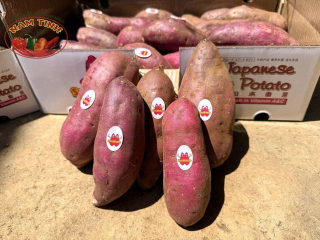 VIETNAM FRESH JAPANESE SWEET POTATO - Image 3