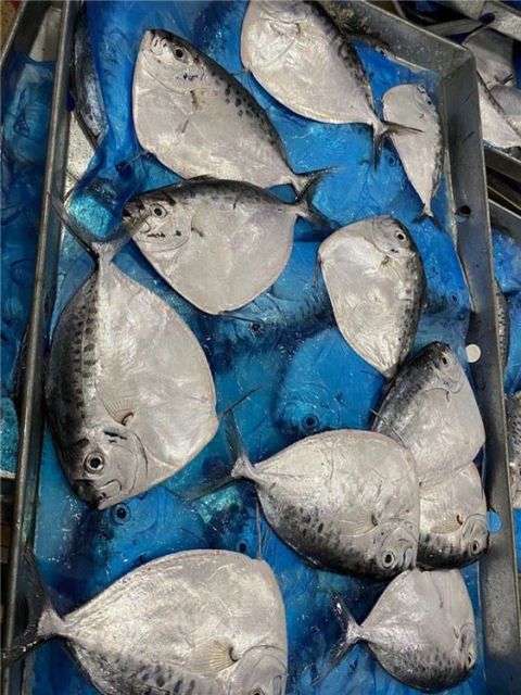 Frozen Moonfish Frozen Seafood Sea Frozen Fish - Image 2