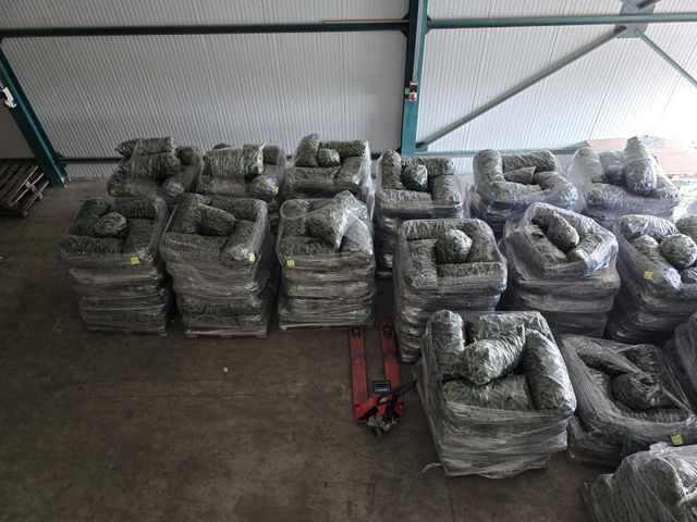 cucumbers Weight (kg) - Image 3