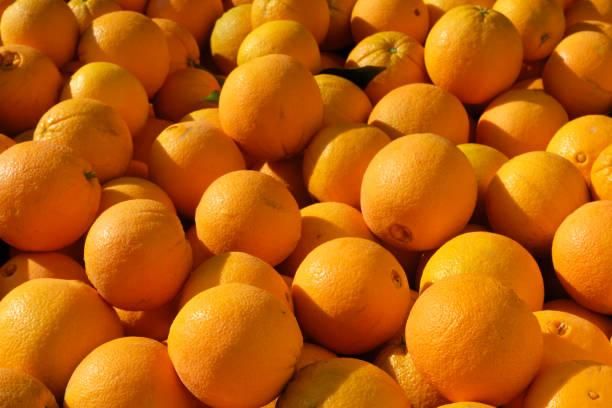 Fresh Washington Navel Orange - Image 4