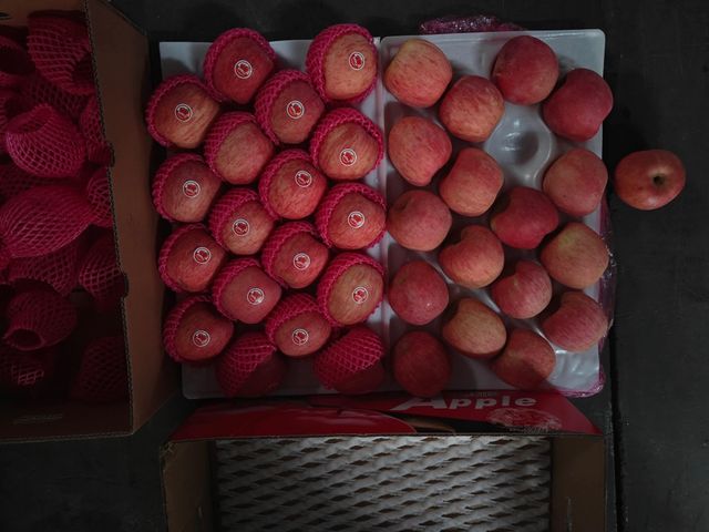 Premium Fuji Apples for Export -Quality ,Great taste - Image 3