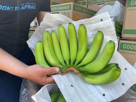 TOP-QUALITY FRESH CAVENDISH BANANAS - PREMIUM TASTE WITH GOOD PRICE FROM VIETNAM – product photo 4, product detail gallery