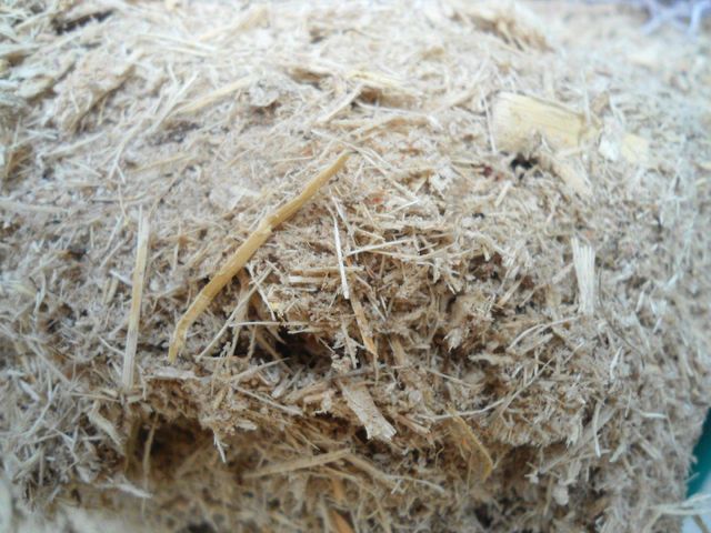 Natural Sugarcane Bagasse Powder - Image 3