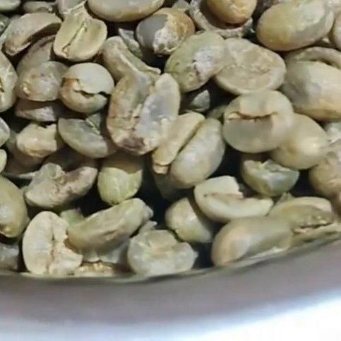 Coffee Green Bean Grade Class 1 Type Robusta and Arabica Green Coffee Beans Place of Origin Aceh, Jawa Tengah – - Image 3