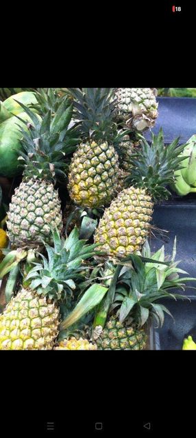 Fruits Organic Yes Fruit Type Pineapple - Image 1
