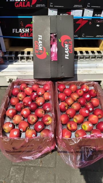 Flash Gala Apples for sale export quality - Image 3