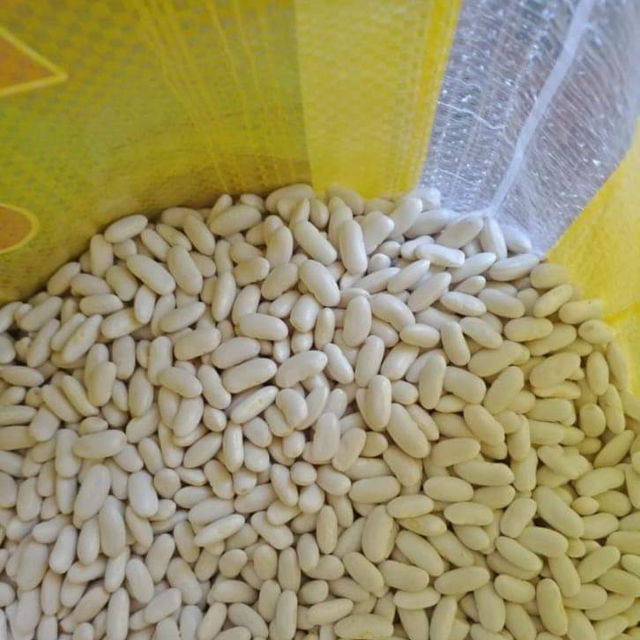 Egyptian White Beans Origin Egypt Size 180/200 Gm Imperfect Seeds 1–3% Brand Name Almahmoud Moisture Content 14% Max Packing Options 25kg & 10kg - Image 3