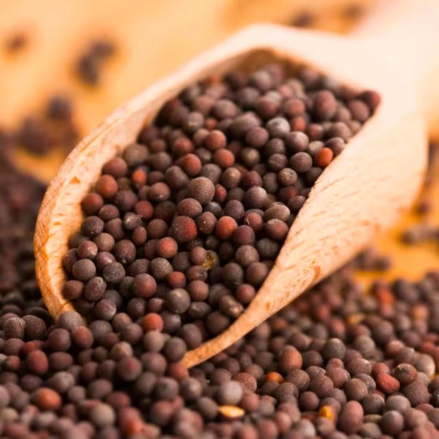 Indian Mustard Organic Spices & Herbs Dried Spices U2U312-UAthvikaSpice High Quality Pure Natural Fresh Black Mustard Seeds - Image 5