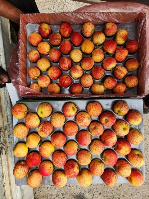 Golden Royal Gala Apple PH 3.5–4.0 Ph 3.5–4.0 TSS 11–15 °Brix Shelf Life good Tss 11–15 °brix Cultivation Type good Moisture Content 80–85% - Image 3