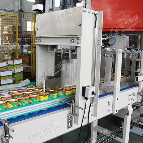 Automatic Packing Machine Case Carton Packer for Tin Auto Packaging Machine - Image 5