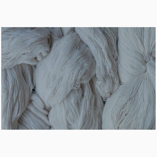 Affordable raw cotton available for textile mills and buyers - Image 1