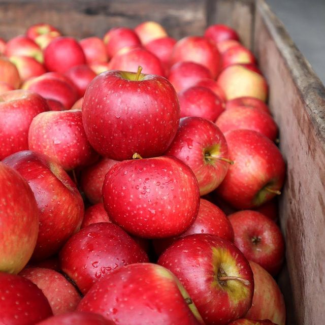 FRESH Cripps Red Apples for sale - CLASS 1 Export Quality Cripps Red Apples from South Africa – product photo 1, product detail gallery