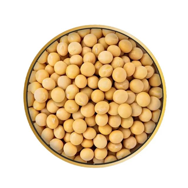NON GMO Soybean Available for Cheap Price / Premium Quality Non-GMO Yellow SoyaBeans with High Protein/Soybean Meal 48% Protein - Image 4