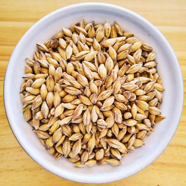 Premium Barley Grain Packed With Essential Nutrients And Barley Kernels For Bulk Export And Industrial Production - Image 5