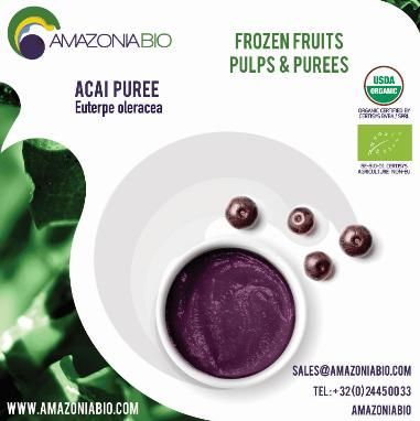 Organic Açaí Puree - Image 1