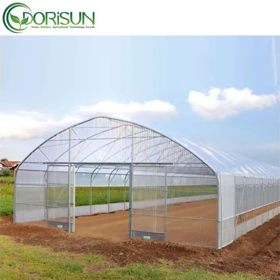 Plastic Single Span Temperature Control Grow Greenhouses Size Large Width 6-10m Span Single Layer Double Length 20-200m Location - Image 4