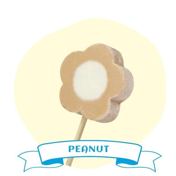 Blossom Ice Cream Bar - Peanut Weight (kg) 0.1 kg Shelf Life 24 Months Place of Origin Taiwan Packaging 100 pcs/styrofoam - Image 1