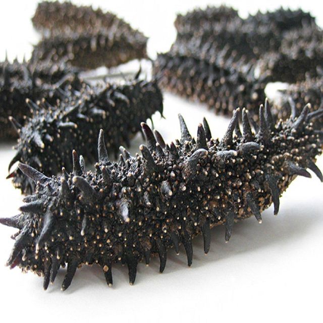 No Salt Cleaned Fresh Nutritious NATURE Original Seafood Freezing Dried Premium Sandfish Sea Cucumber - Image 3